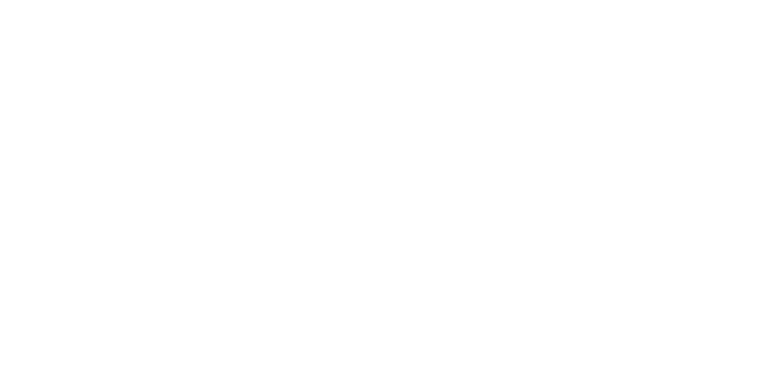 wholesale customers