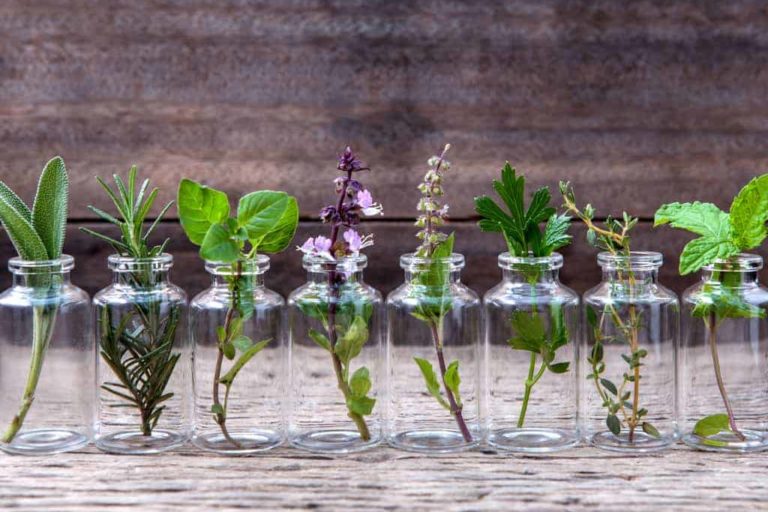 essential oils to aid sleep