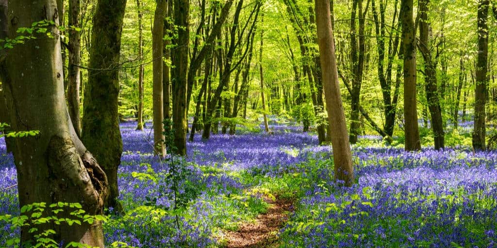 things to do this bank holiday