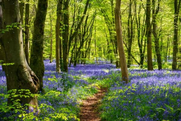 things to do this bank holiday