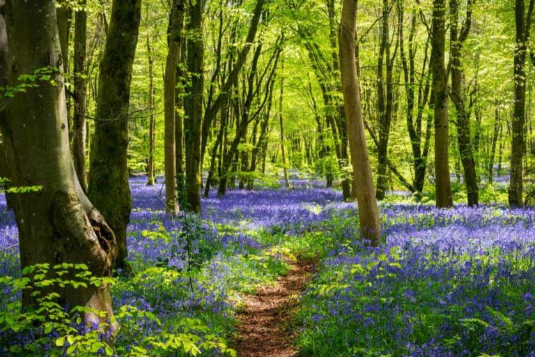 things to do this bank holiday
