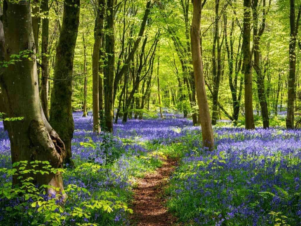 things to do this bank holiday