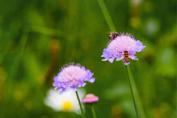 shutterstock_172000304