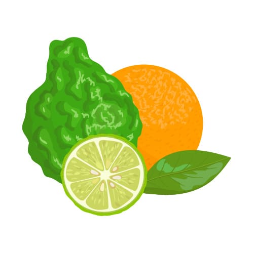 bergamot essential oil for anxiety
